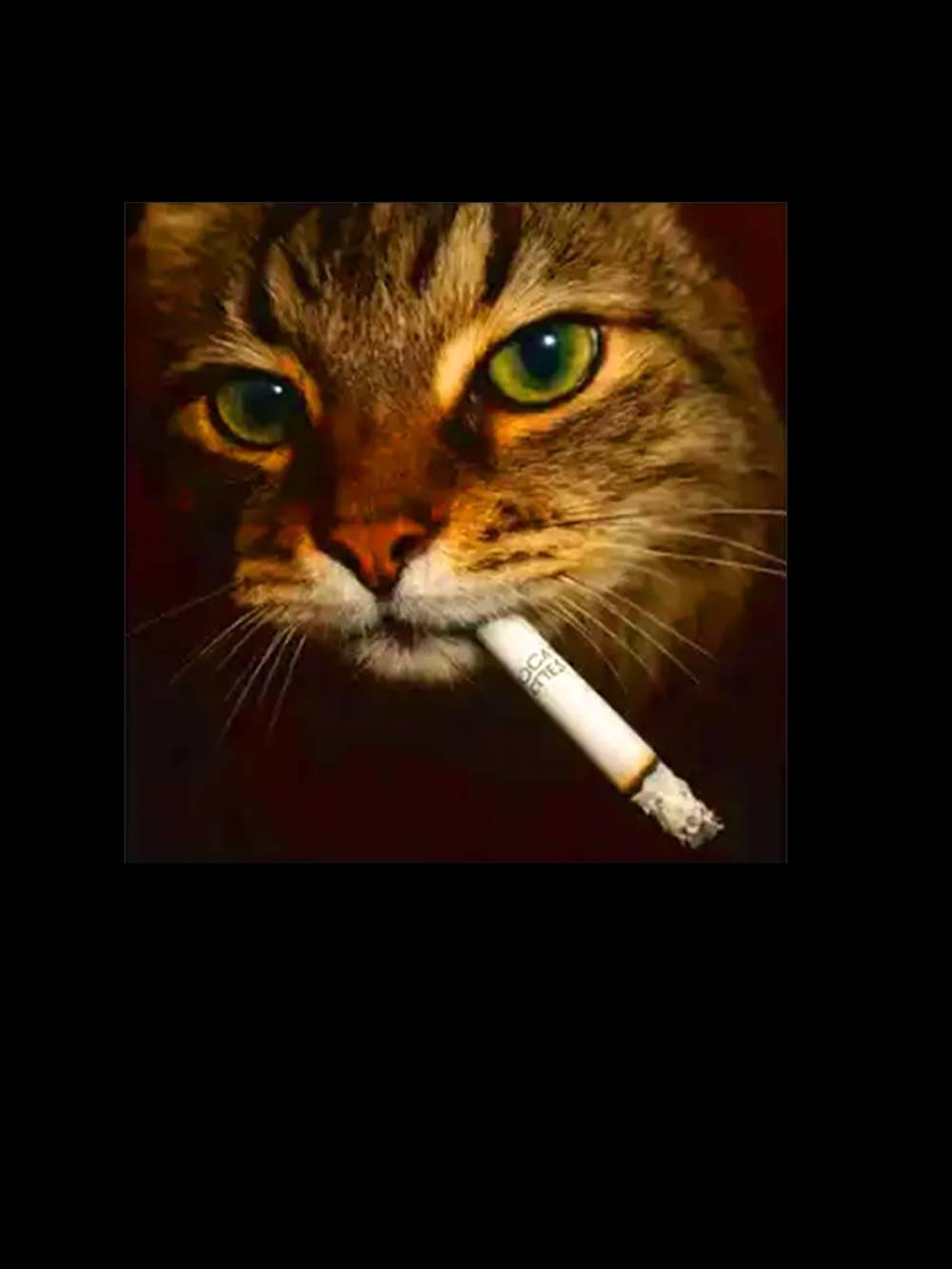 Smoking Cat Washed Tank Top