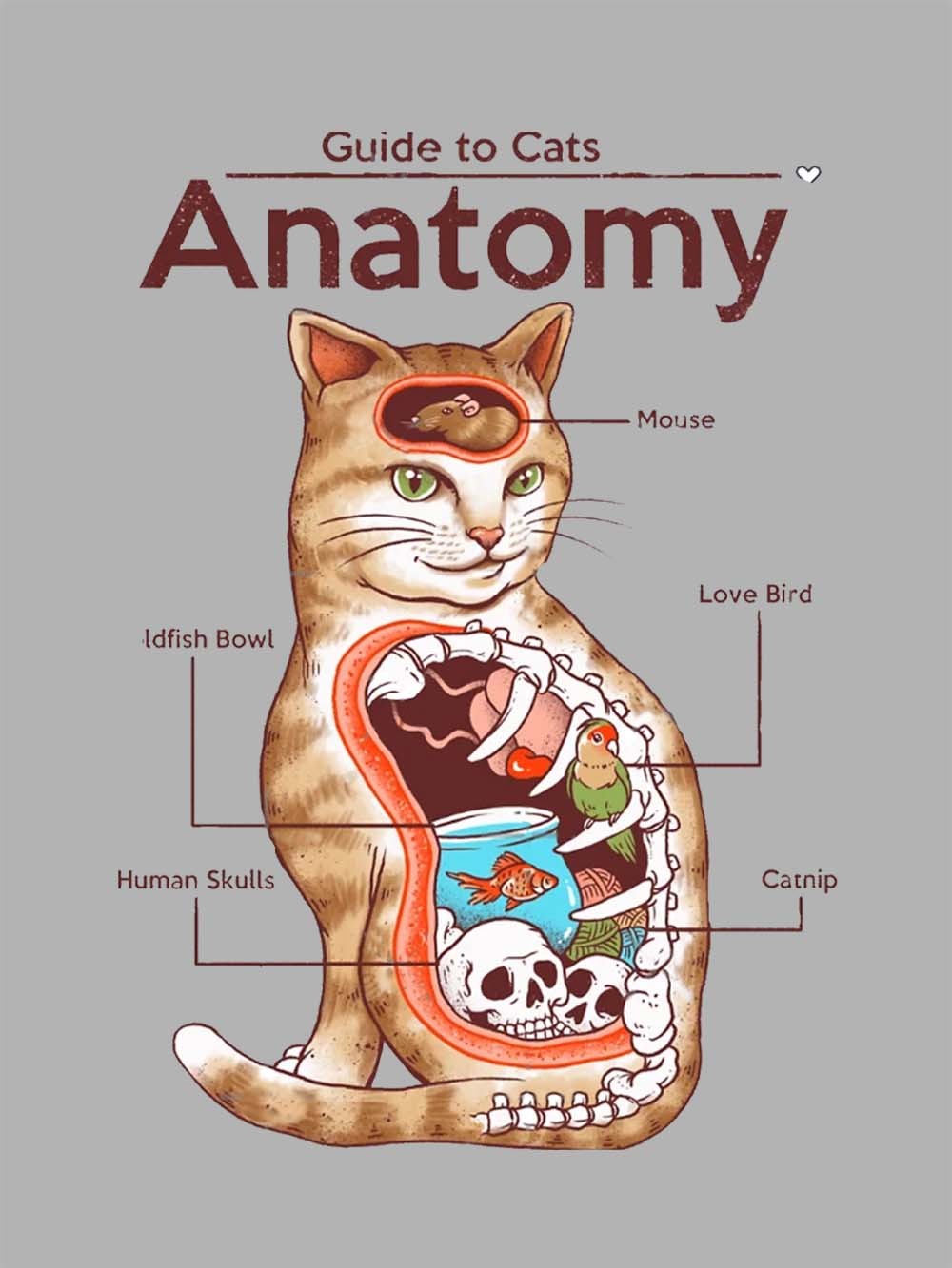 Anatomy Washed Tshirt