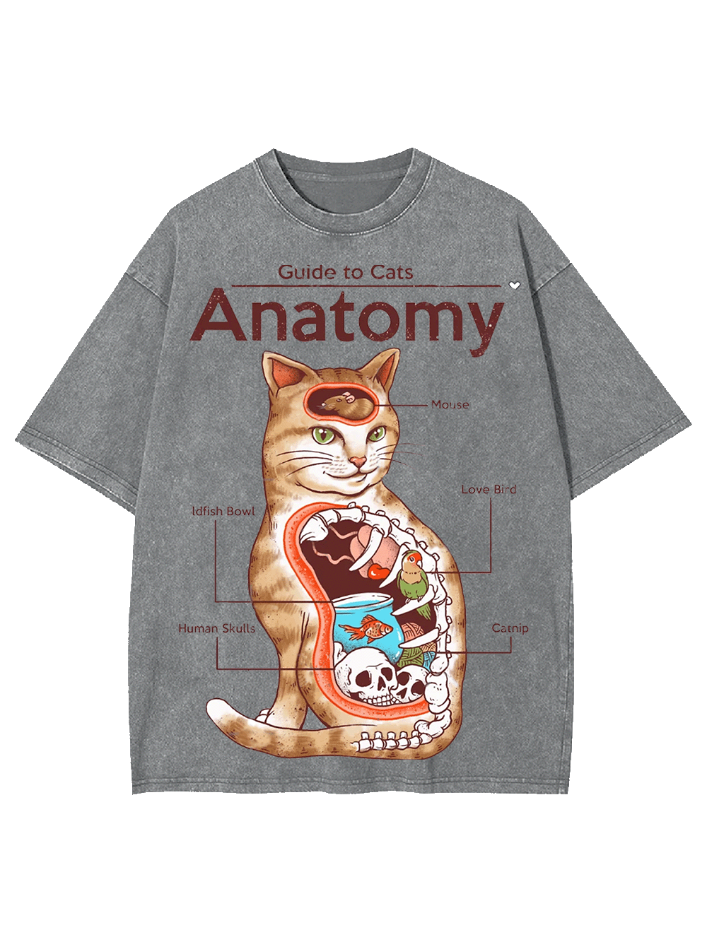Anatomy Washed Tshirt
