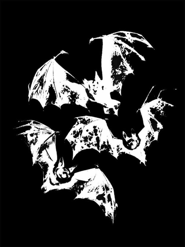 Flying Bats Washed Tshirt