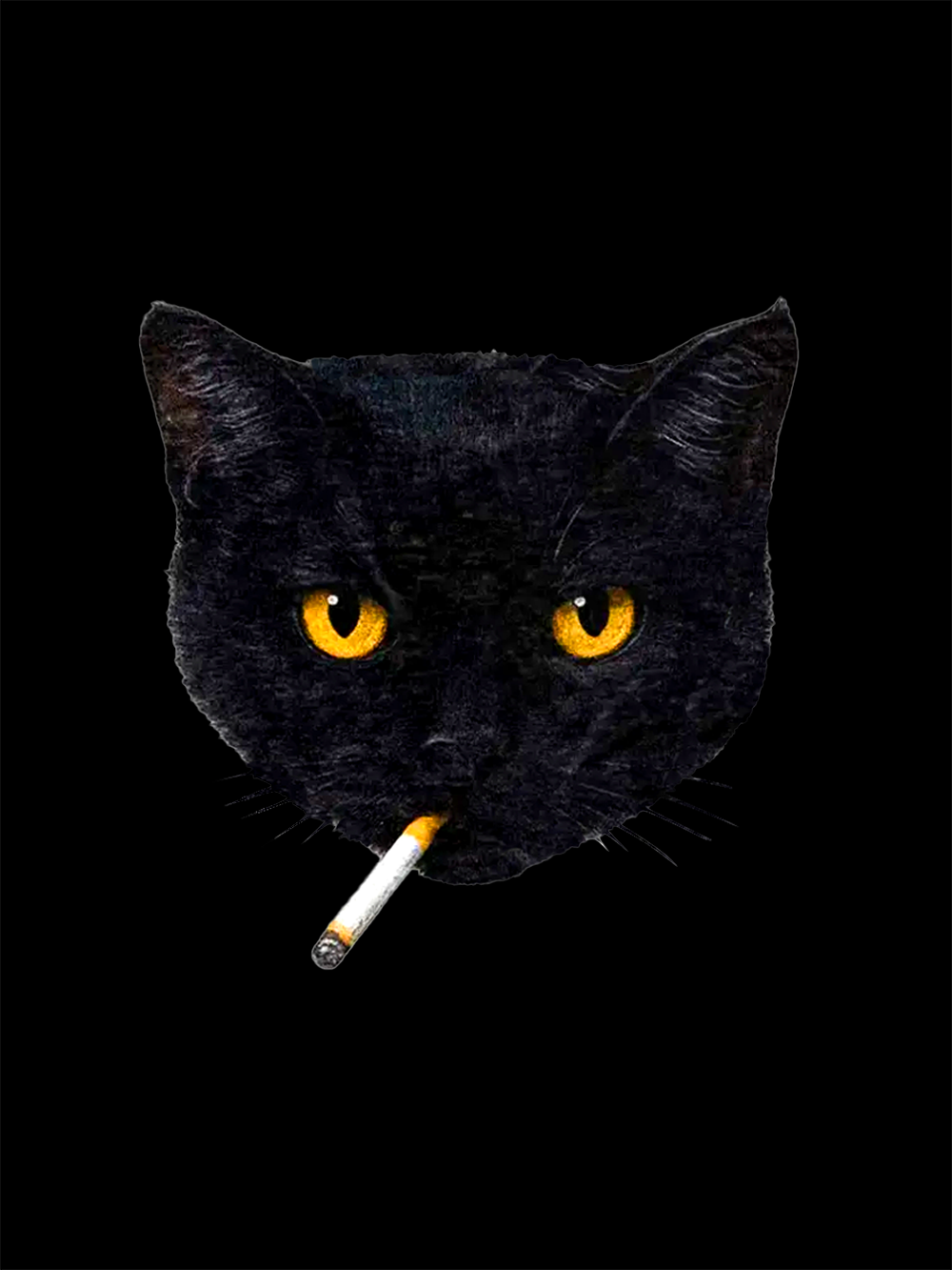 Feline Rebel Washed Tshirt