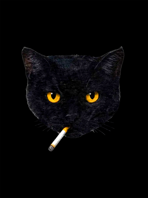 Feline Rebel Washed Tshirt