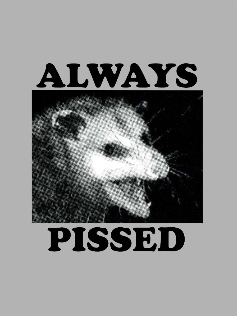 Always Pissed Washed Tshirt