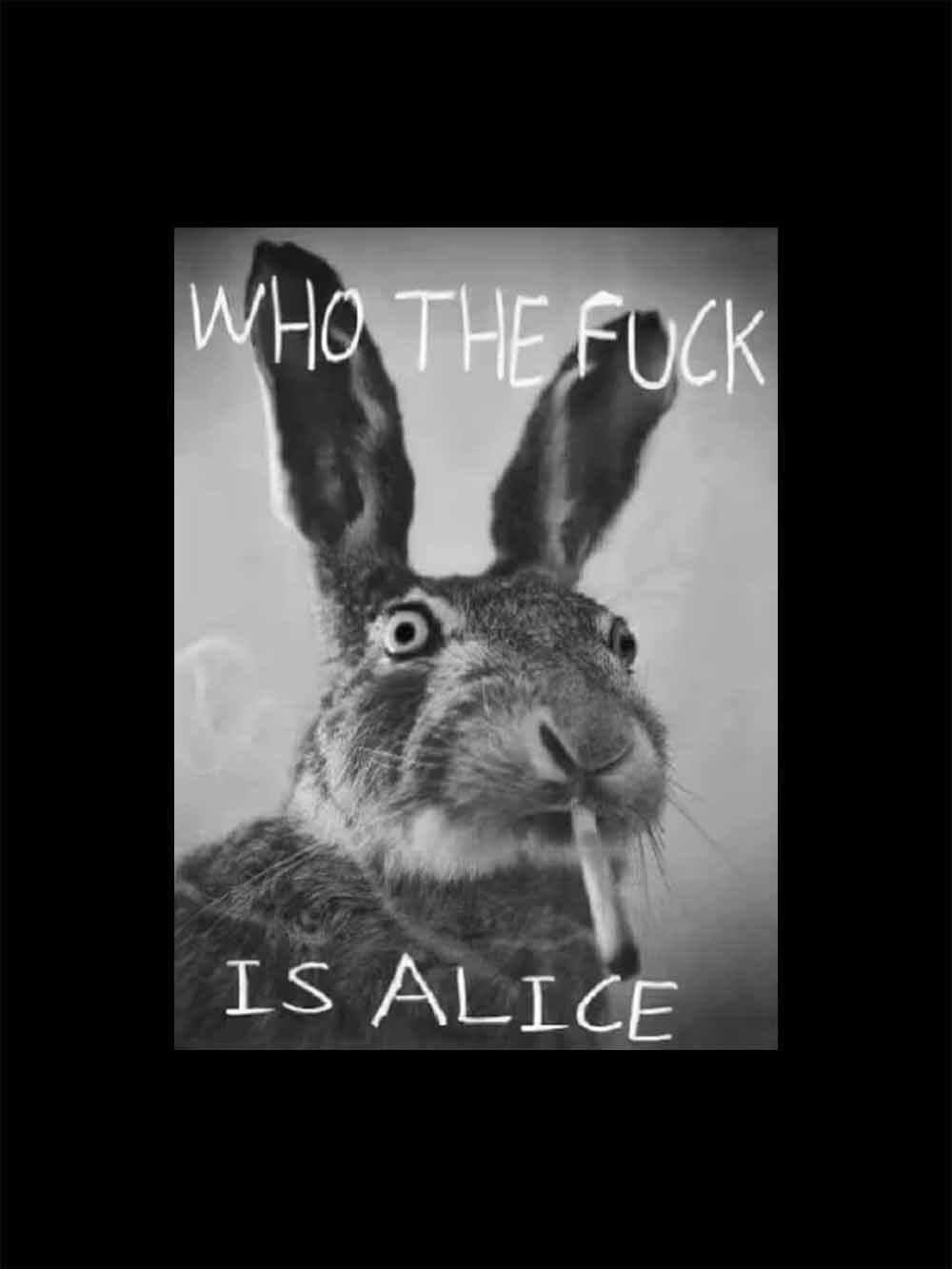 WHO THE FUCK IS ALICE WASHED TSHIRT