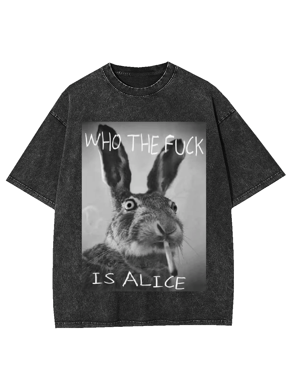 WHO THE FUCK IS ALICE WASHED TSHIRT