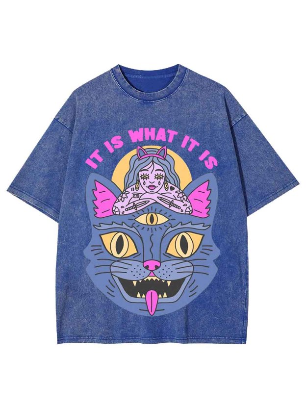 It Is What It Is Washed Tshirt