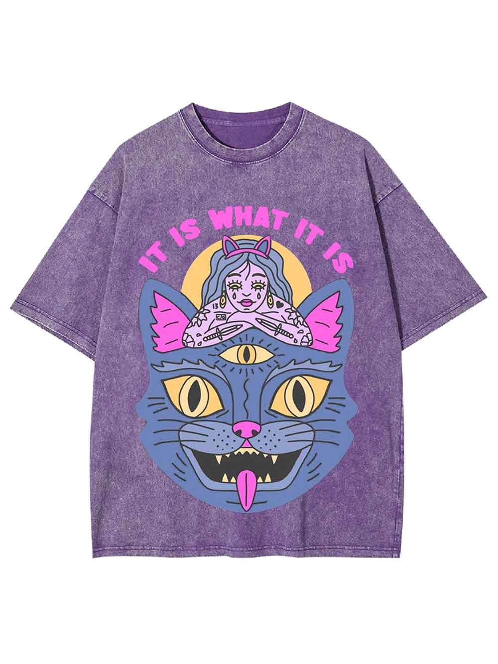 It Is What It Is Washed Tshirt