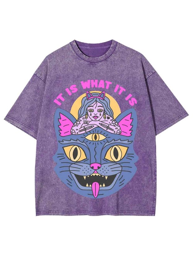 It Is What It Is Washed Tshirt