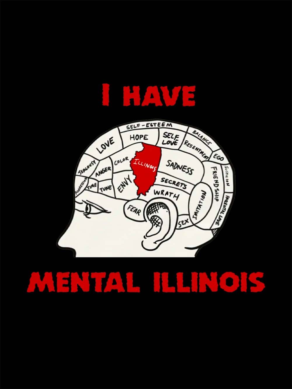 I HAVE MENTAL ILLINOIS WASHED TSHIRT