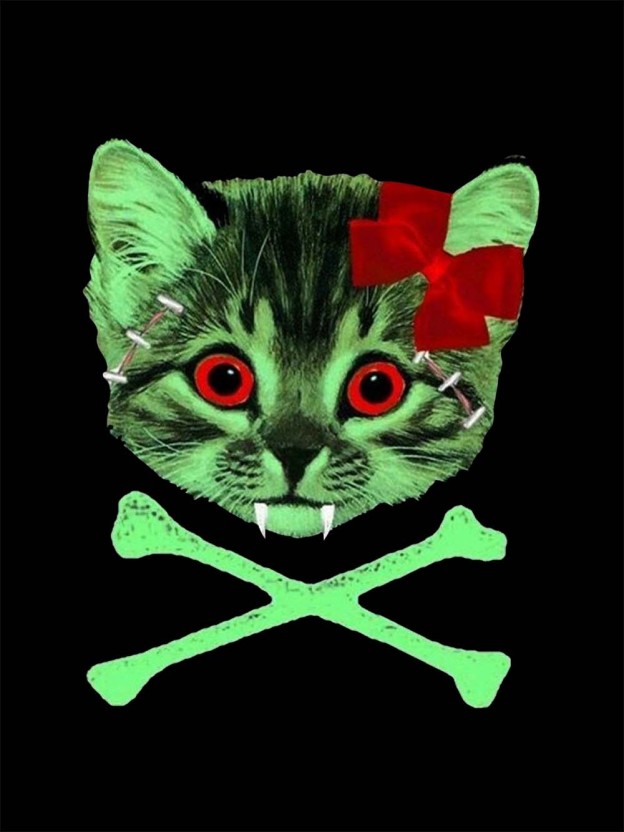 Zombie Kitty Washed Tshirt