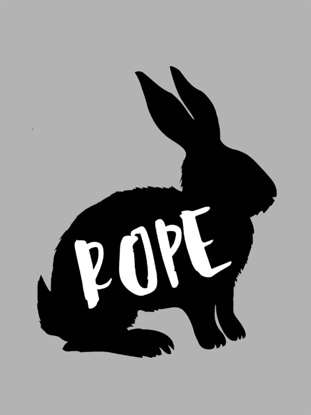 Rope Bunny Washed Tshirt