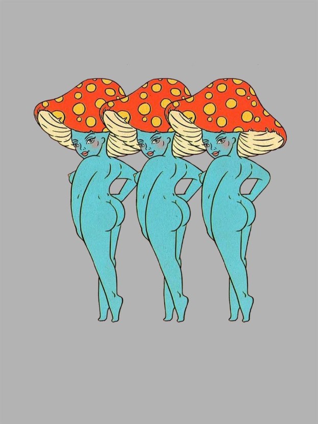 Mushroom Trio Beauties Washed Tshirt