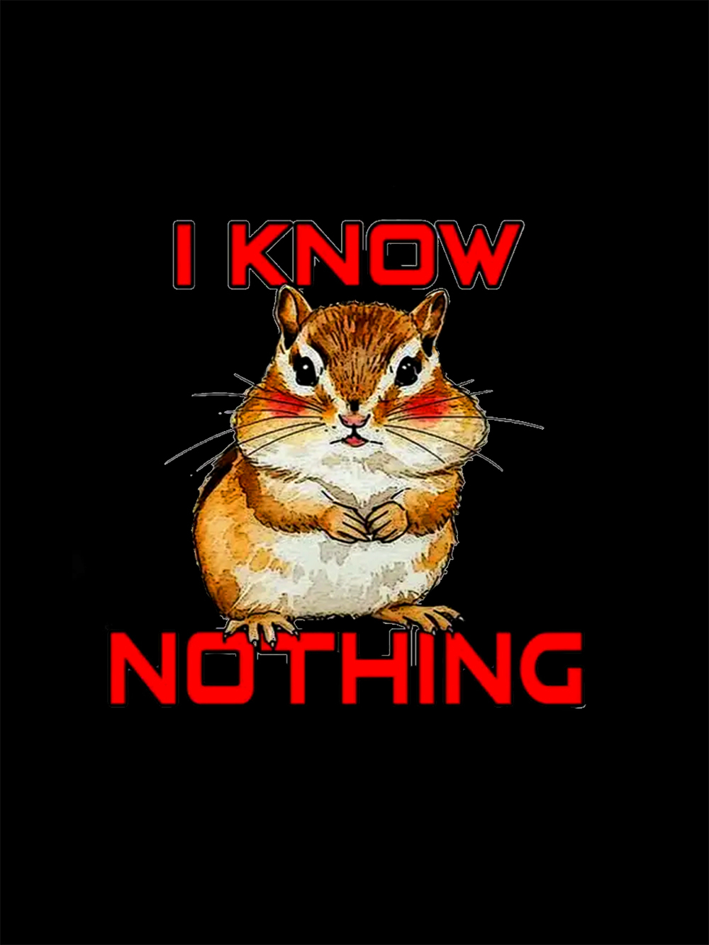 I Know Nothing Washed Tshirt