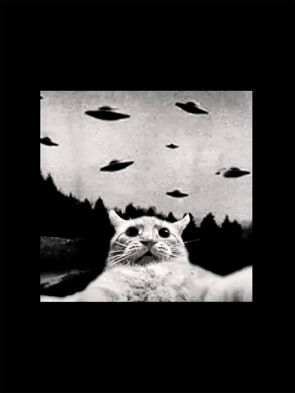 Cat Witnesses UFOs Washed Tshirt