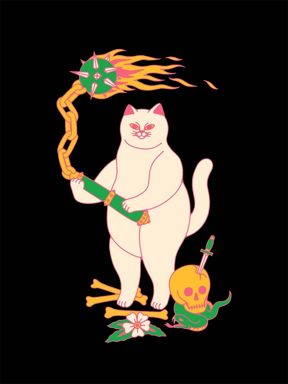 FEROCIOUS CAT WASHED TSHIRT