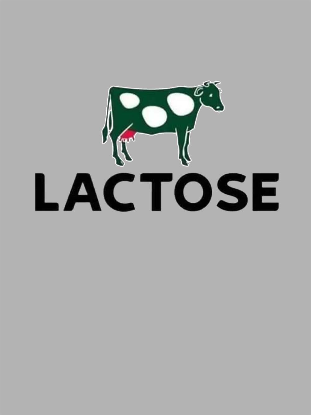 LACTOSE WASHED TSHIRT