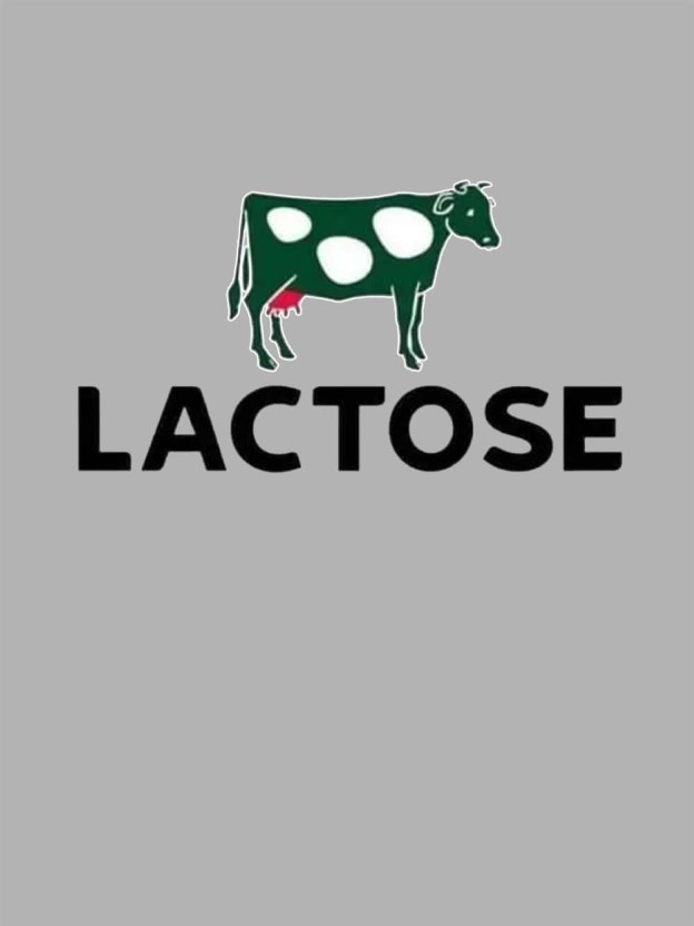 LACTOSE WASHED TSHIRT