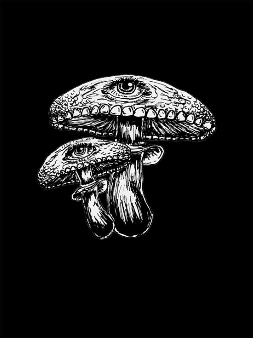 EYE MUSHROOMS WASHED TSHIRT