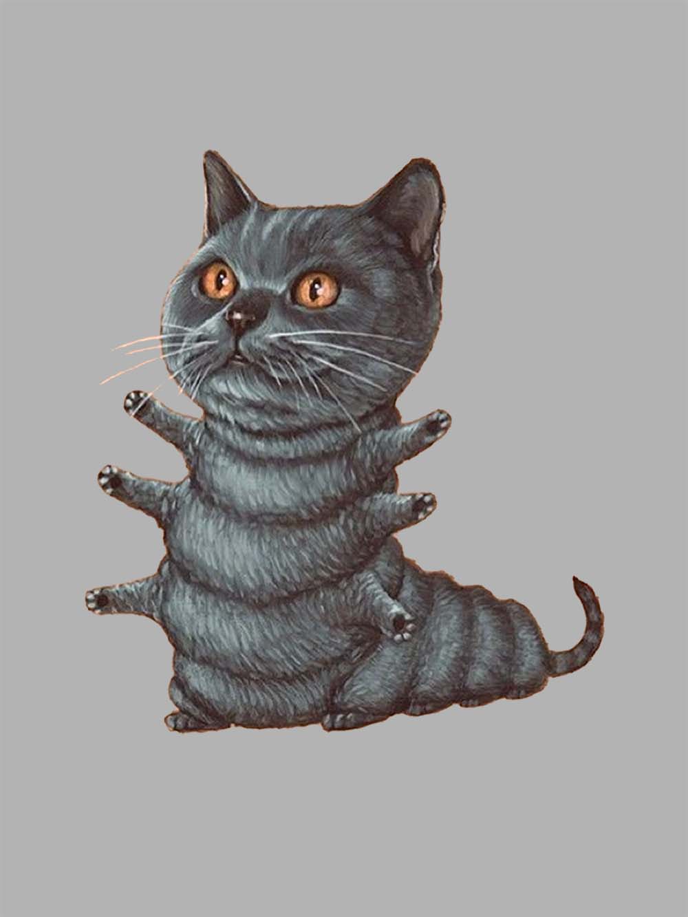 MULTI-HANDED CAT WASHED TSHIRT