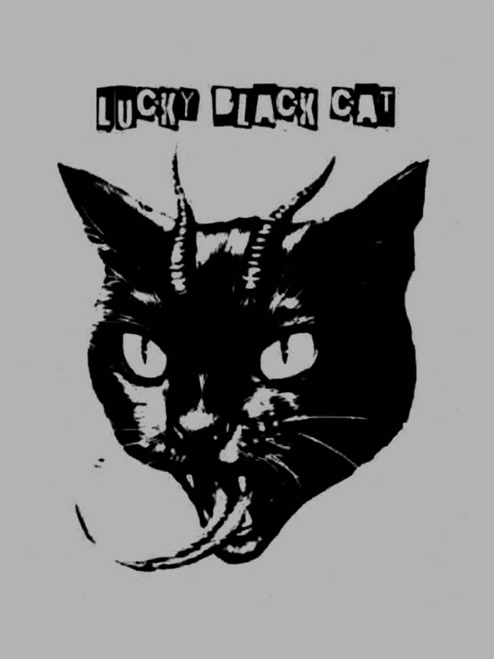 LUCKY BLACK CAT WASHED TSHIRT