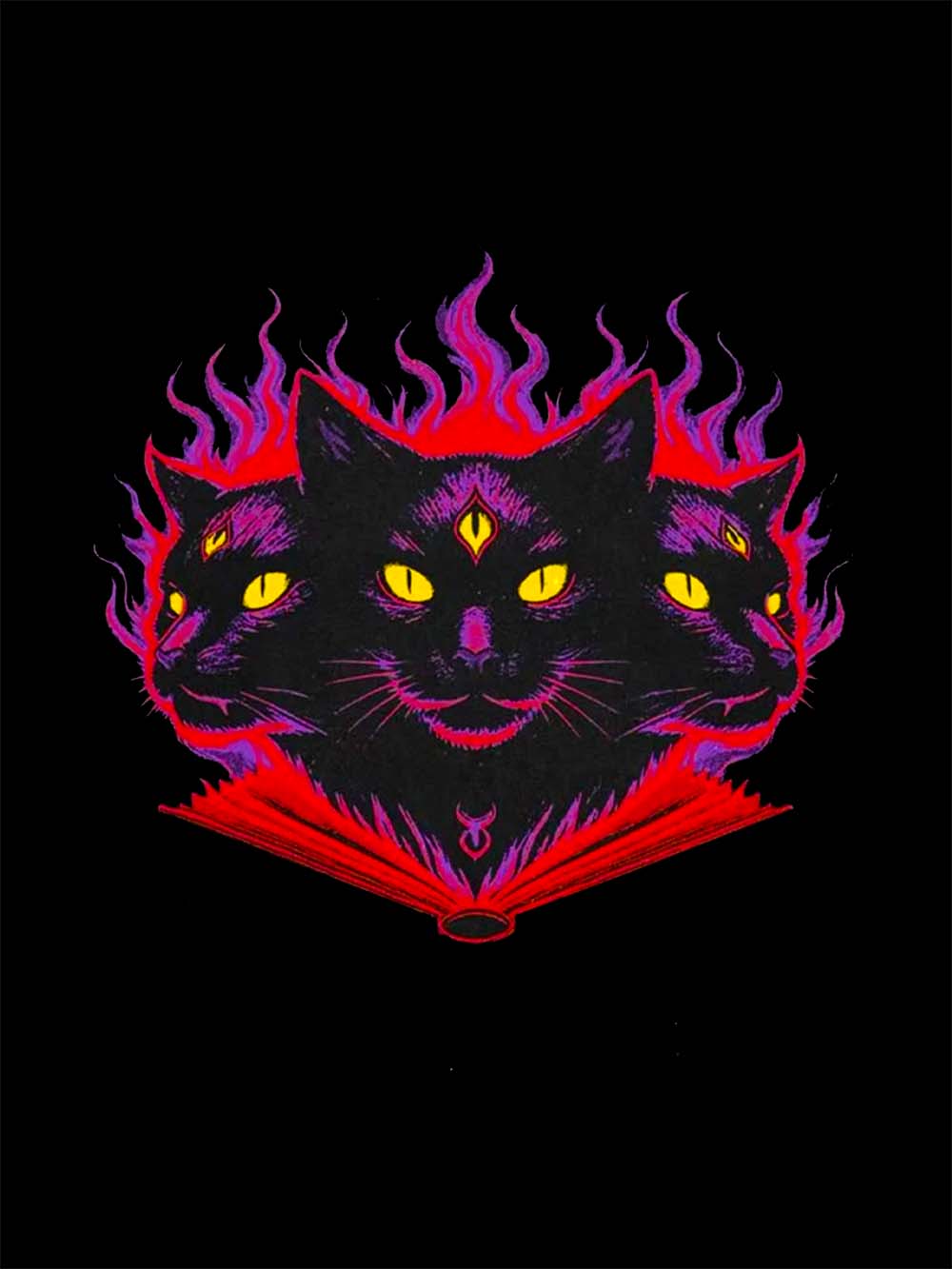 THREE-HEADED MYSTIC CAT WASHED TSHIRT