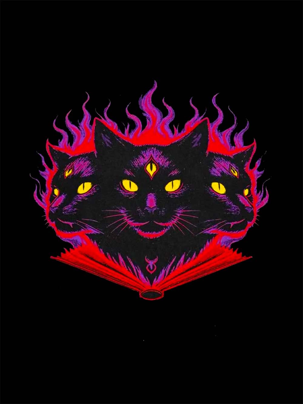 THREE-HEADED MYSTIC CAT WASHED TSHIRT