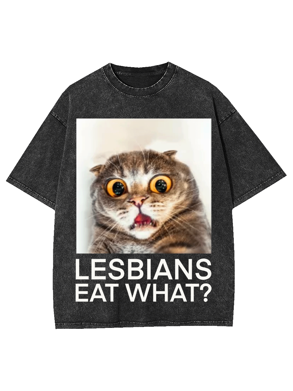 LESBIANS EAT WHAT? WASHED TSHIRT