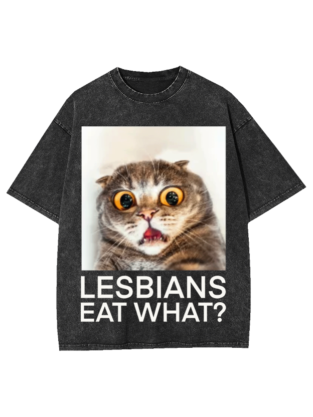 LESBIANS EAT WHAT? WASHED TSHIRT
