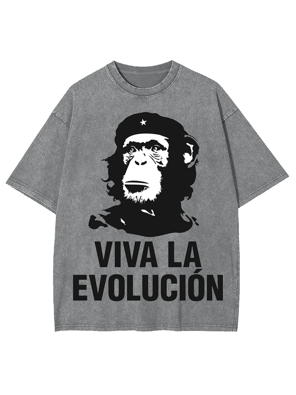Viva La Evolucion Washed Tshirt