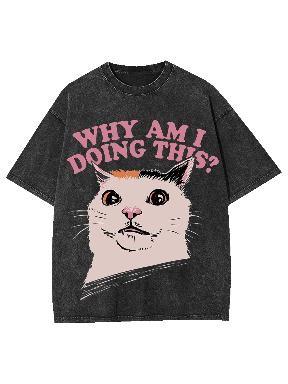 Why Am I Doing This? Washed Tshirt
