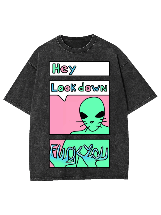 HEY LOOK DOWN WASHED TSHIRT