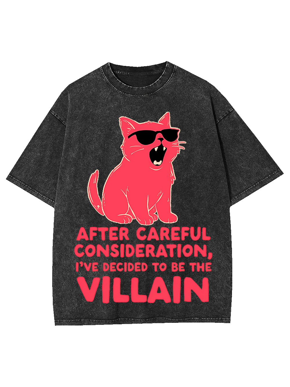 Decided to Be the Villain Washed Tshirt