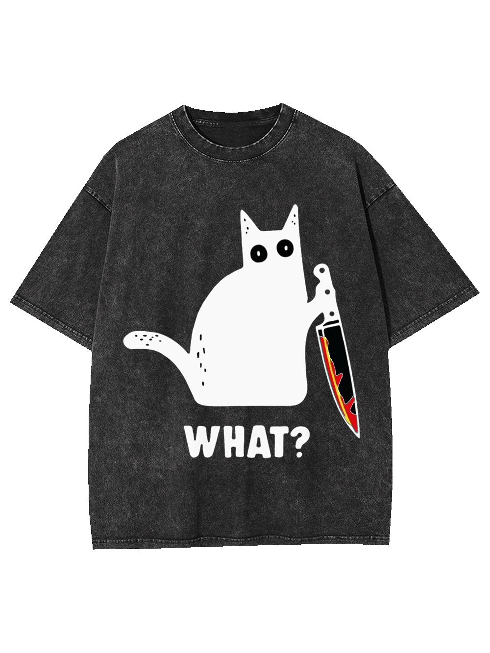 BLACK CAT CONFUSION WASHED TSHIRT