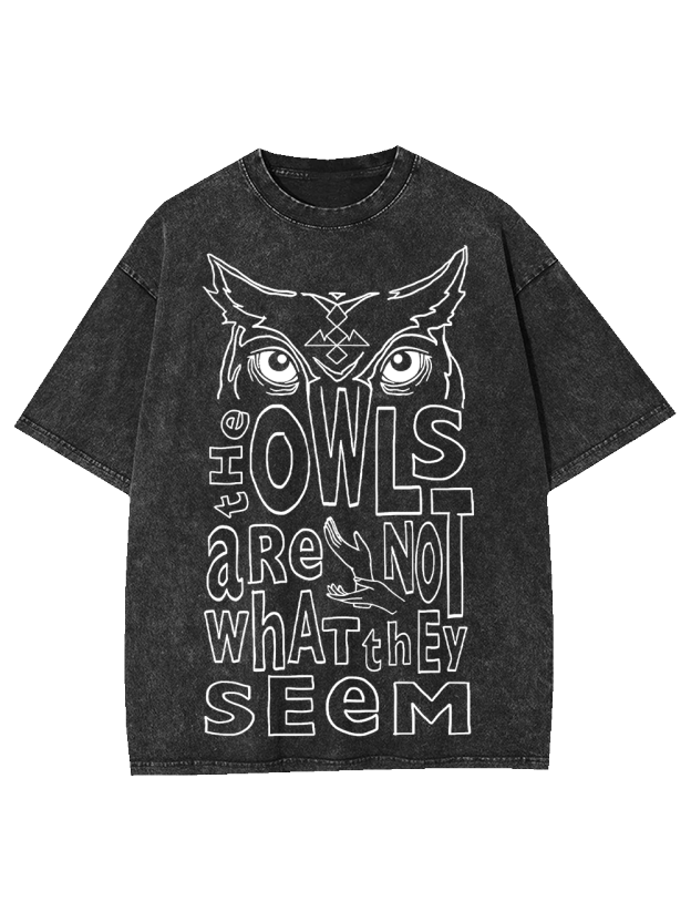 MYSTERIOUS OWLS WASHED TSHIRT