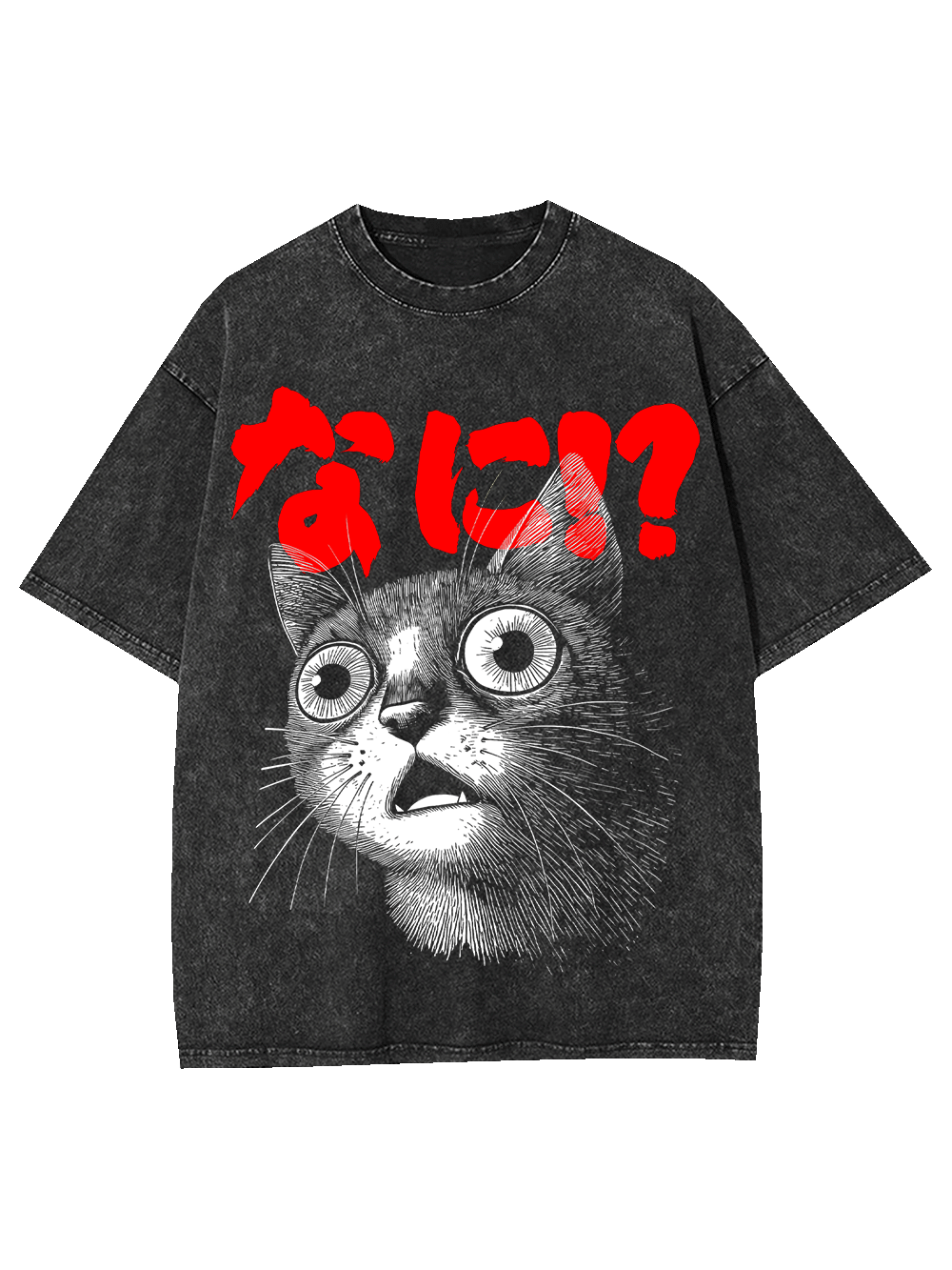 WHAT!? WASHED TSHIRT