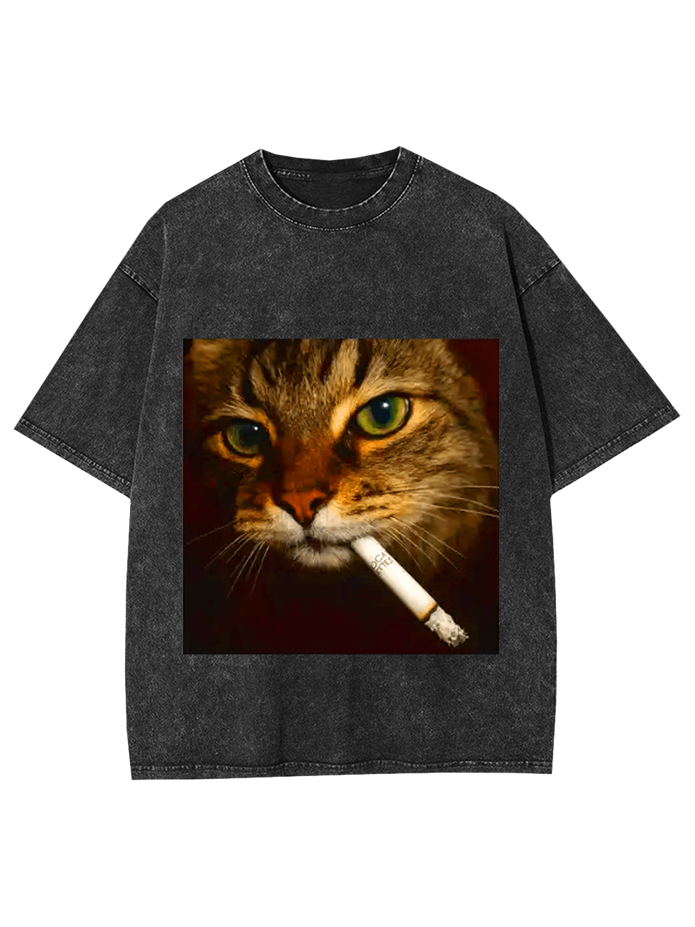 Smoking Cat Washed Tshirt