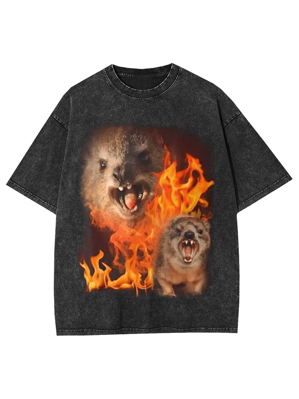 Fury in Flames Washed Tshirt