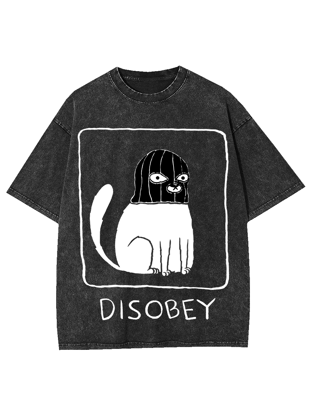 Disobey Washed Tshirt