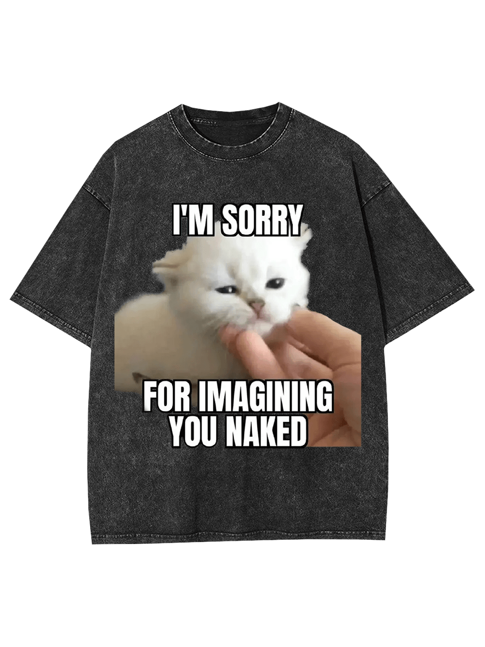 I'm Sorry for Imagining You Naked Washed Tshirt