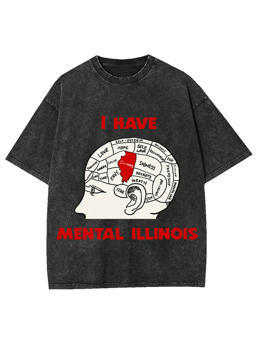 I HAVE MENTAL ILLINOIS WASHED TSHIRT