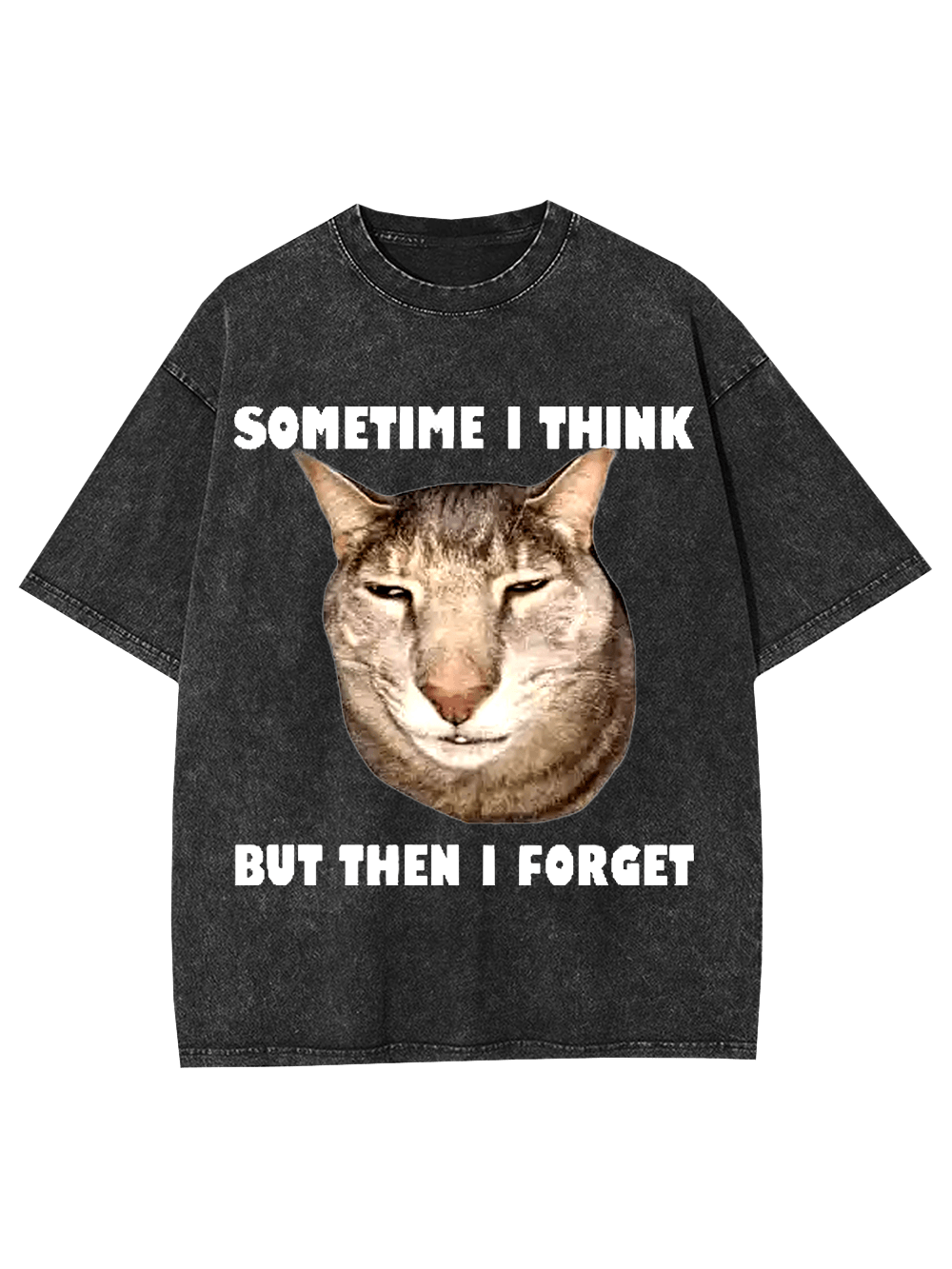 Sometime I Think   But Then I Forget  Washed Tshirt