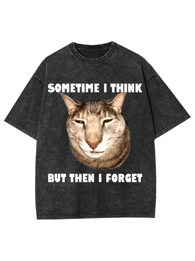 Sometime I Think   But Then I Forget  Washed Tshirt