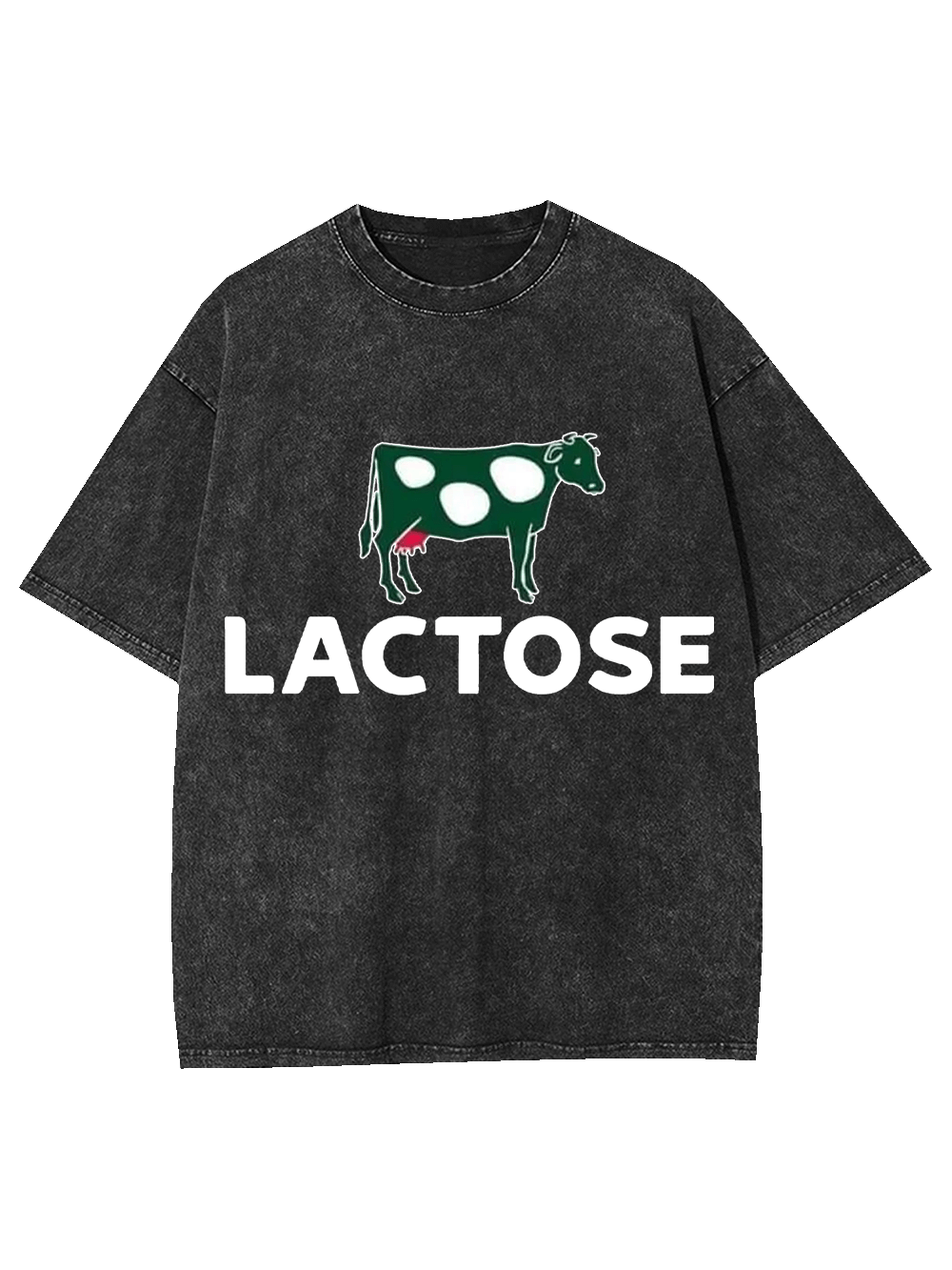 LACTOSE WASHED TSHIRT