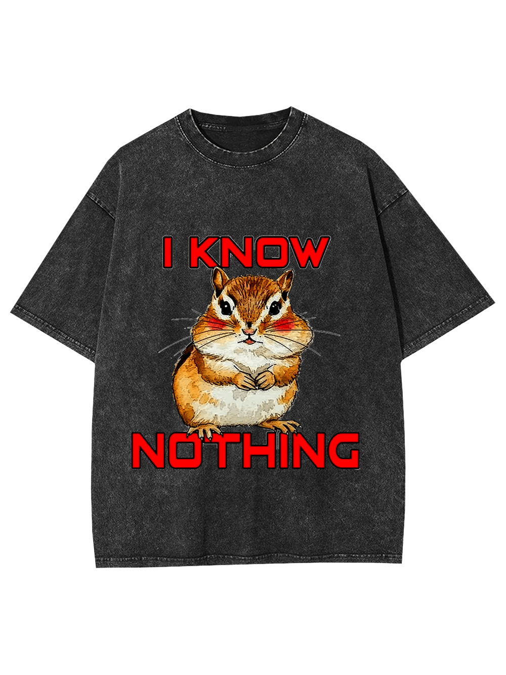 I Know Nothing Washed Tshirt