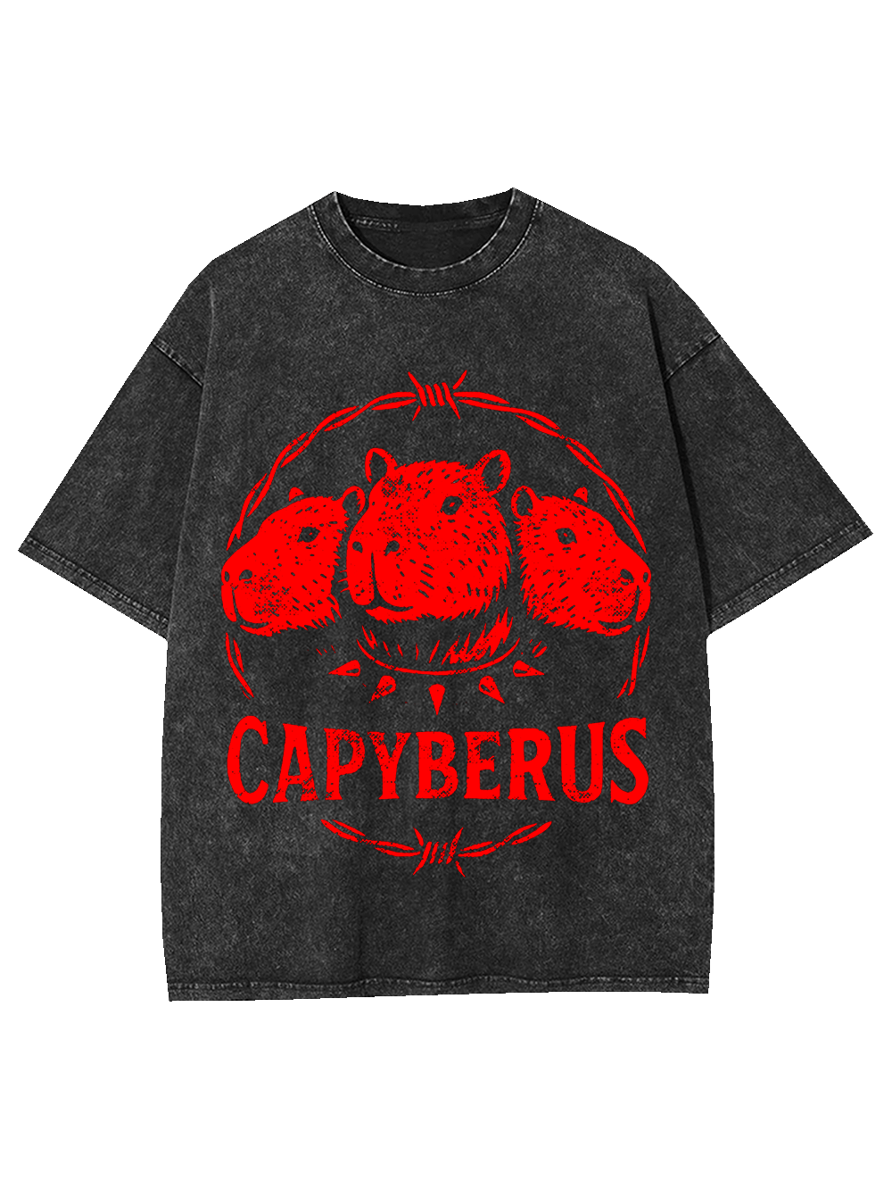 Capyberus Washed Tshirt
