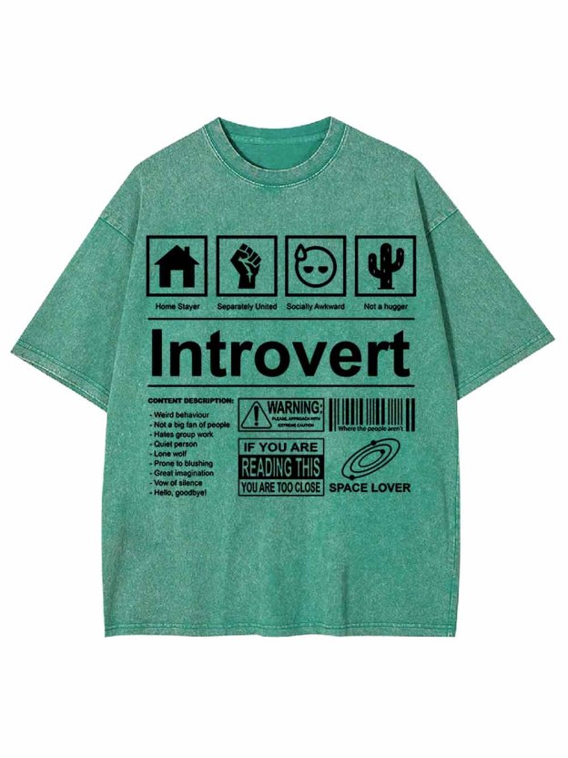 Introvert Washed Tshirt