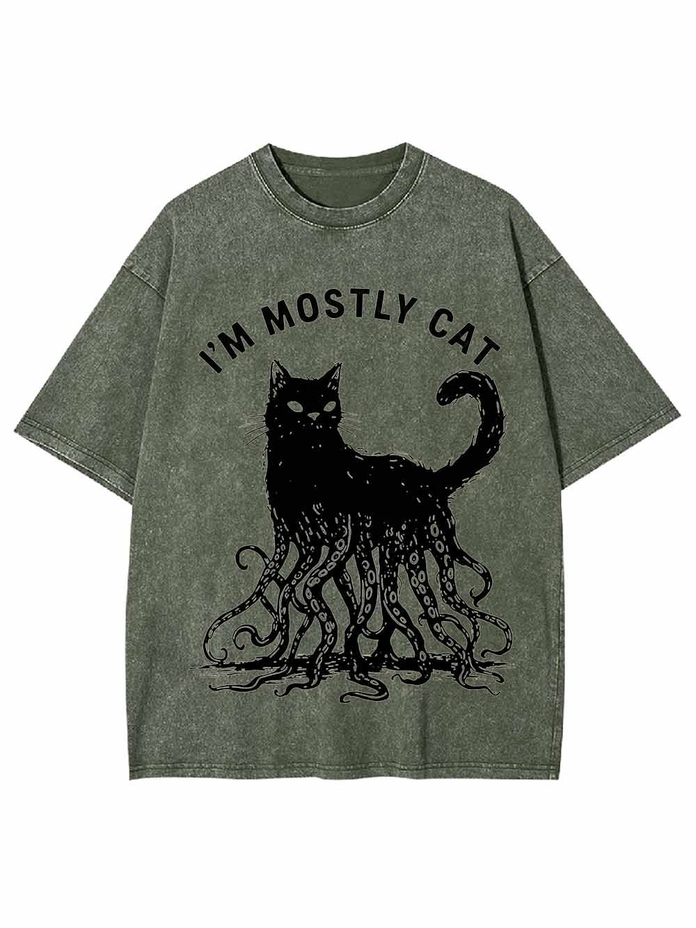 I Am Mostly Cat Washed Tshirt