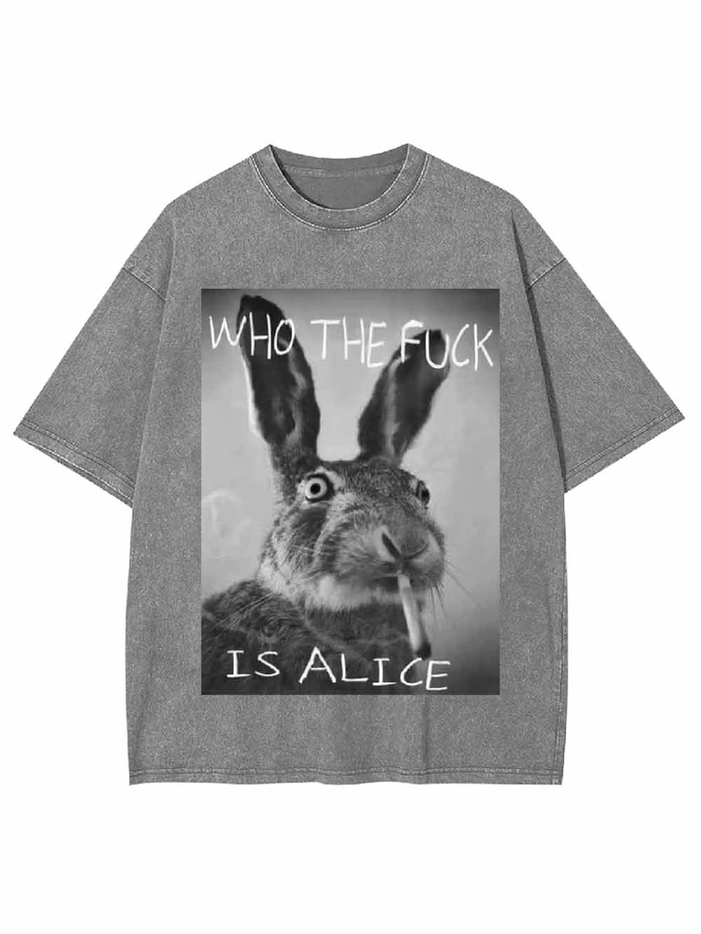 WHO THE FUCK IS ALICE WASHED TSHIRT