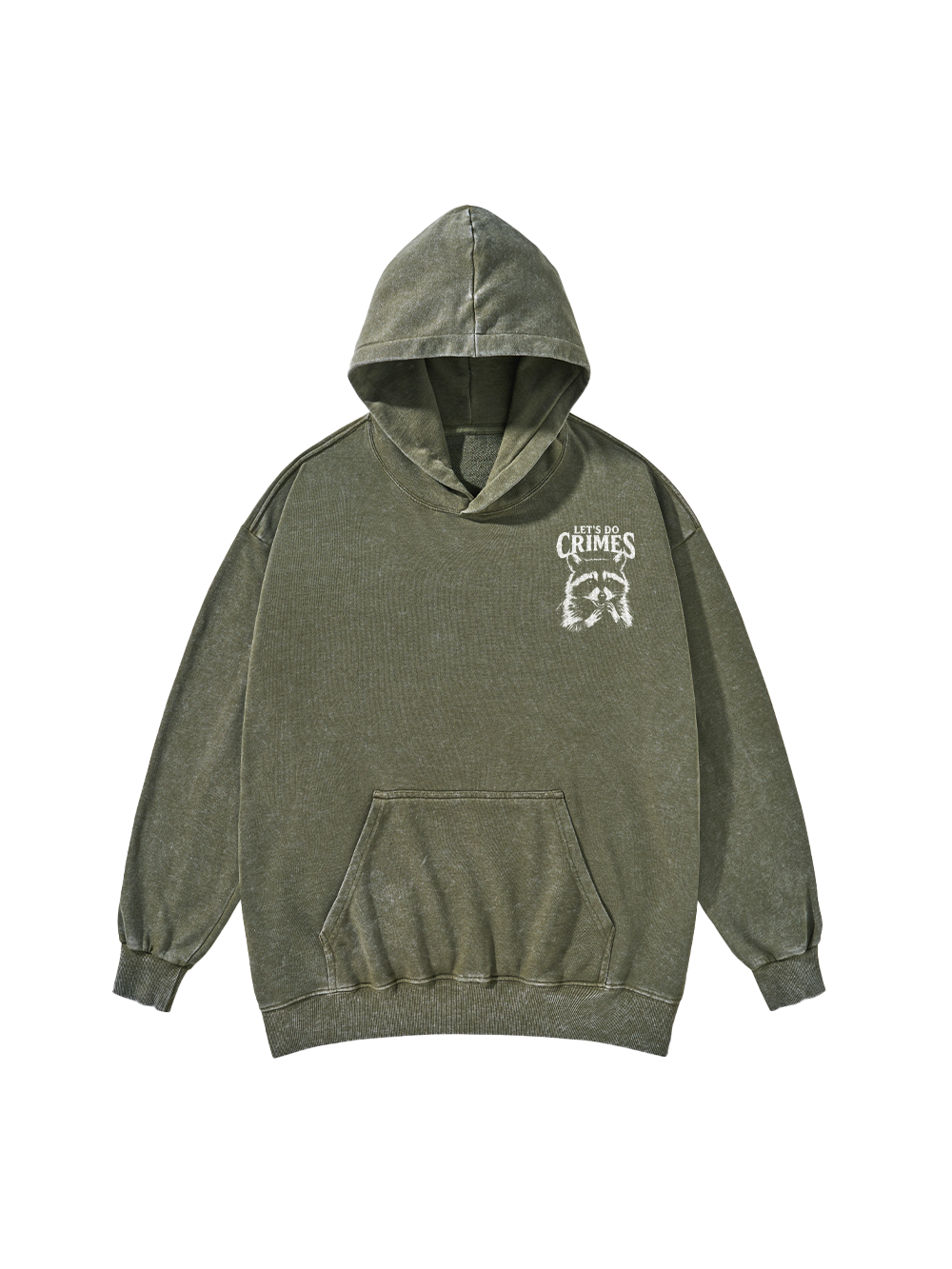 CRIMINAL RACCOON PLANS WASHED HOODIE