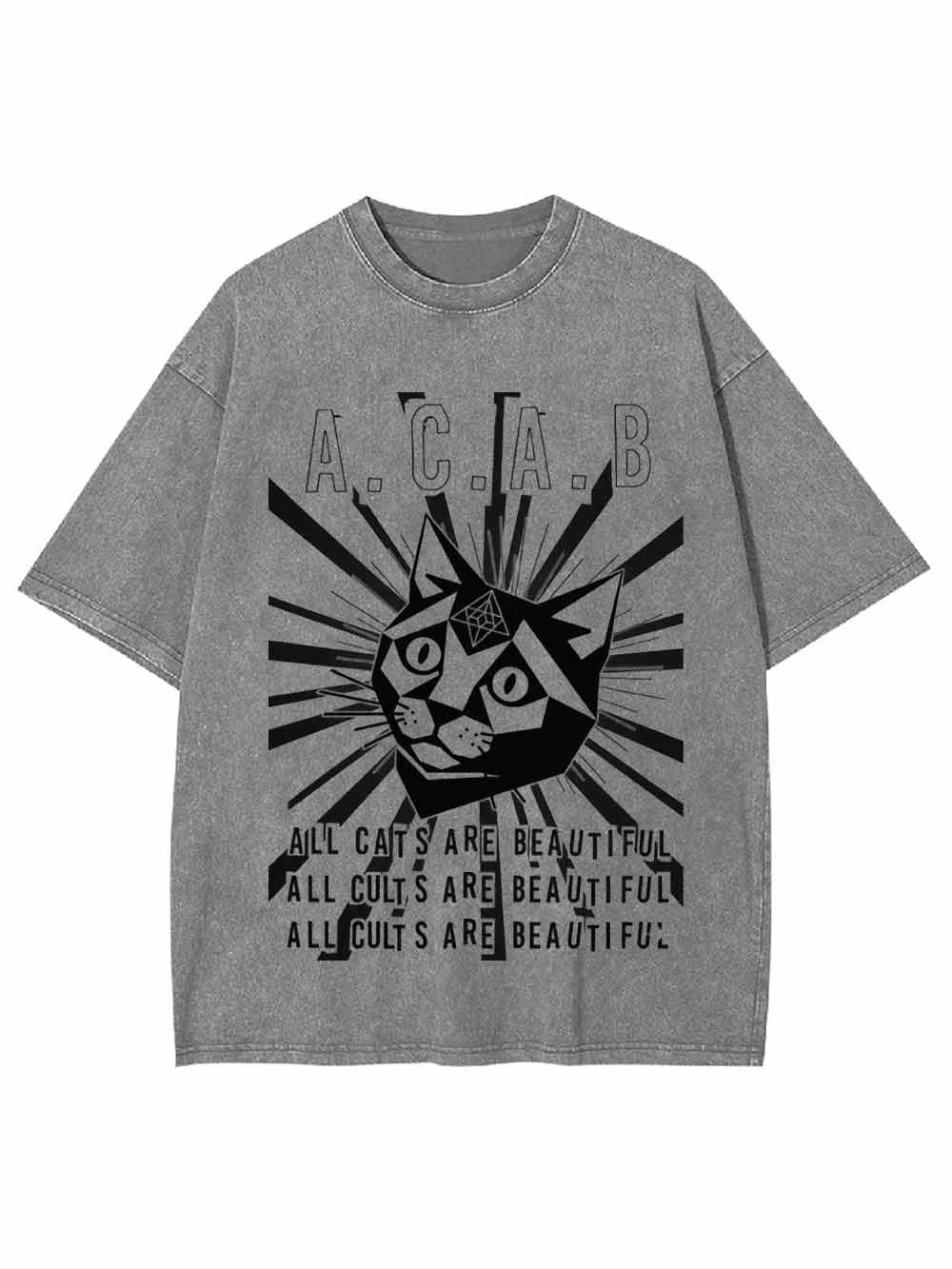 All Cats Are Beautiful Washed Tshirt